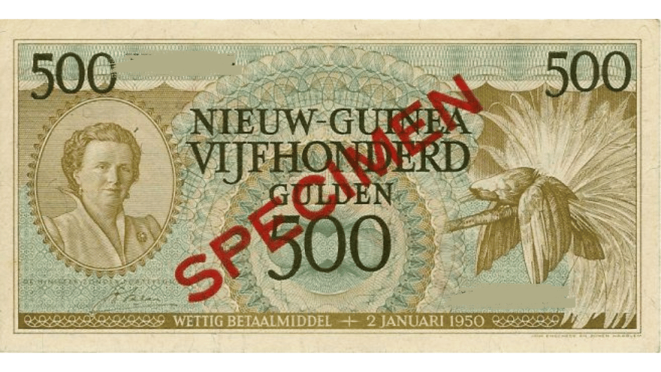 500 NNG coret noser